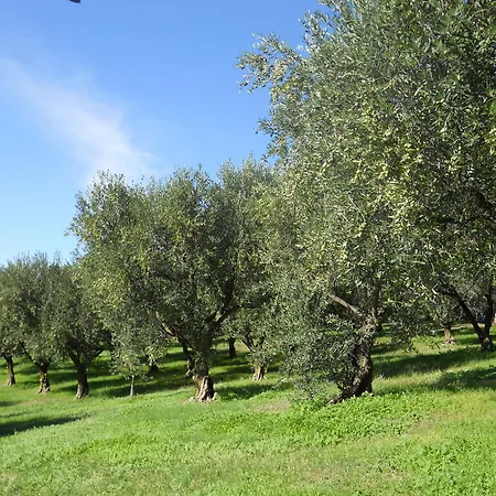 Ca' Morino Verona