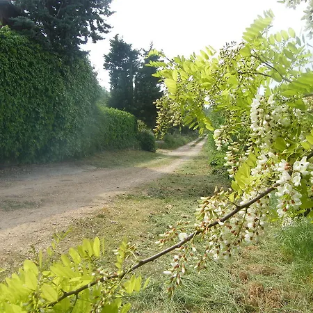 Ca' Morino
