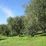 Ca' Morino Verona