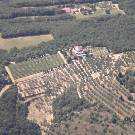 Bed & Breakfast Ca' Morino 4*