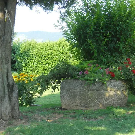 Bed & Breakfast Ca' Morino *