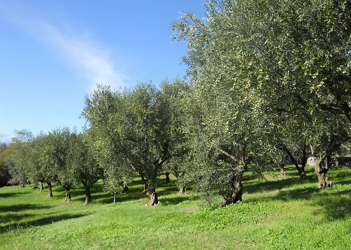 Ca' Morino Βερόνα