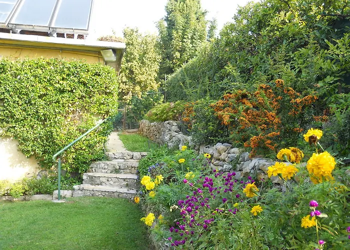 Bed and Breakfast Ca' Morino